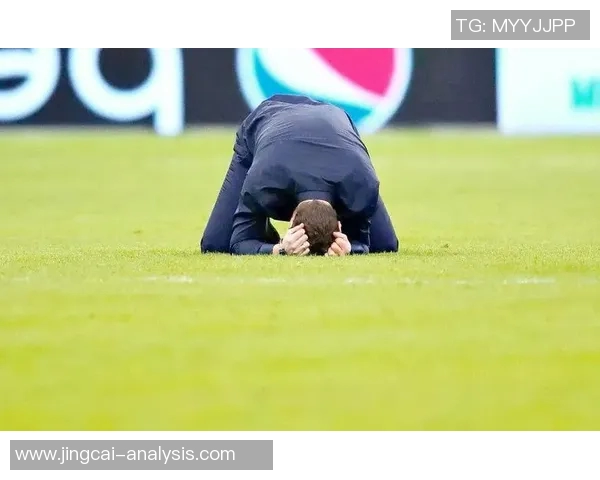 欧冠经典战役热刺逆转里昂上演帽子戏法引爆全场激情